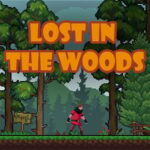 Lost in the Woods